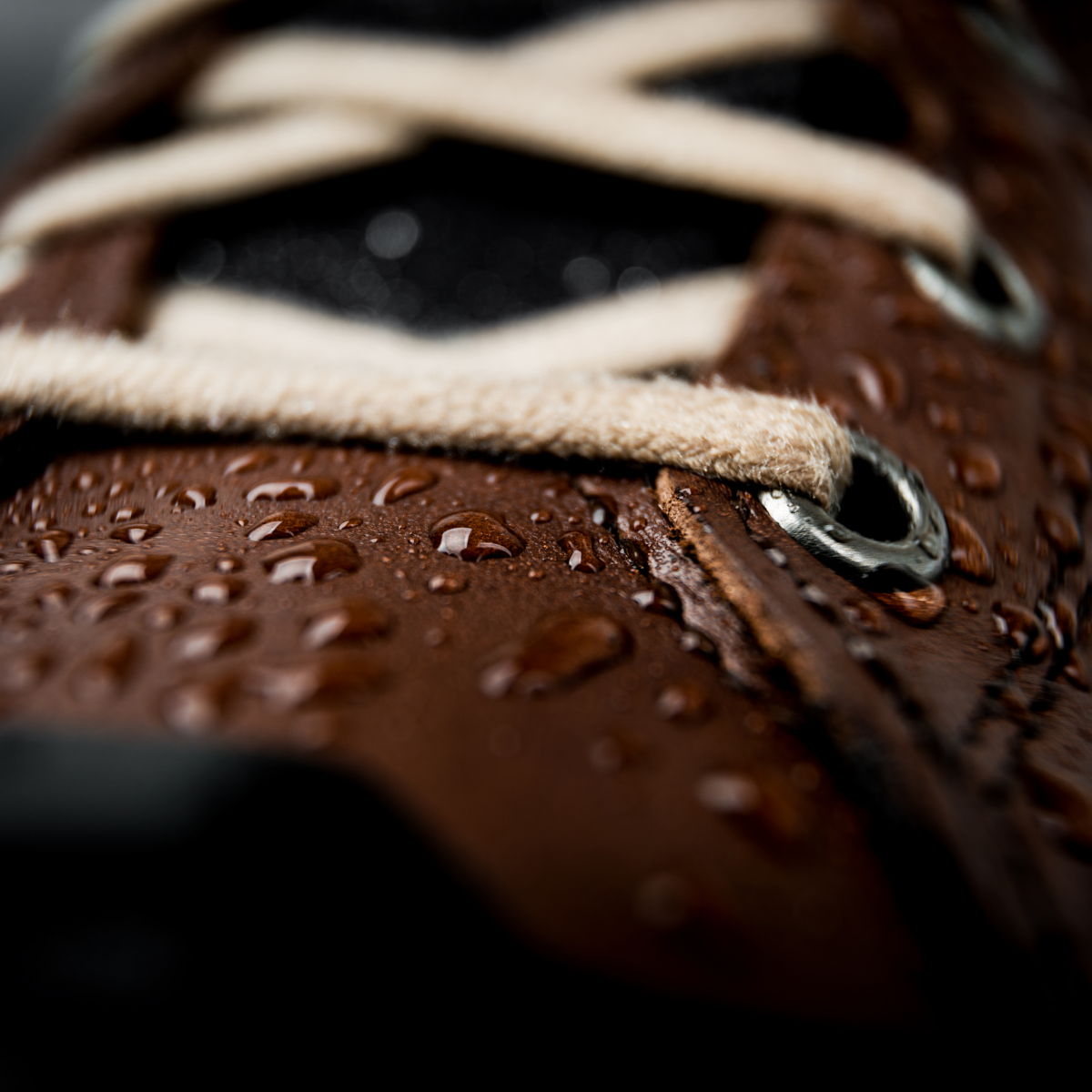 Handy's Substitute Beeswax Waterproofing shoe